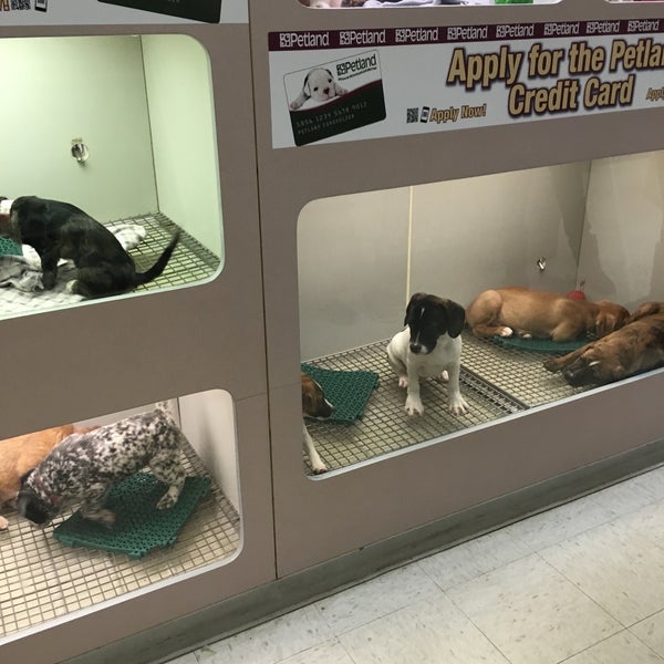 Petland - Merrillville, IN