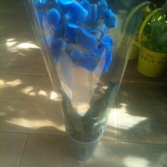 Логойский тракт 52 минск. Логойский тракт 29а. Логойский тракт 29а. Шаурма на подкове. Логойский тракт 27 минск.