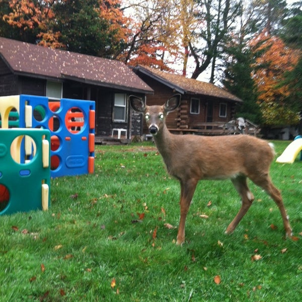 Moose Country Cabins Vacation Rental In Old Forge
