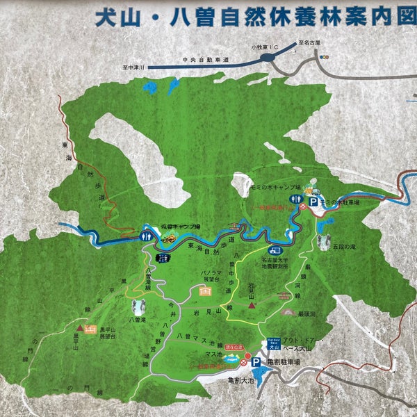 アウトドア ベース 犬山キャンプ場 今井東山95