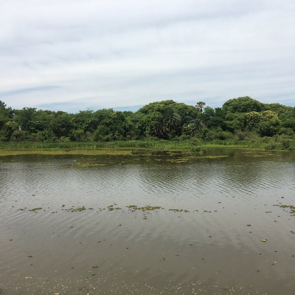 Photo taken at Reserva Ecológica Costanera Sur by Dominik M. on 12/11/2019