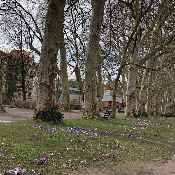 Neckarinsel Park in Tübingen