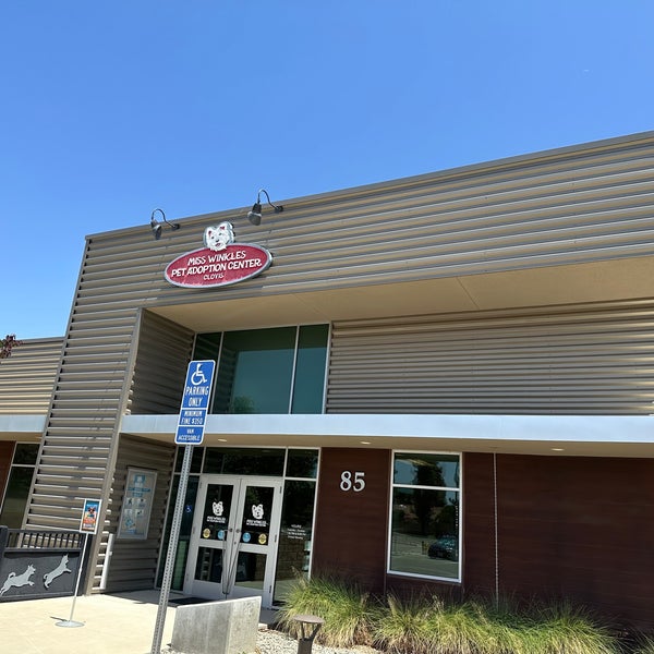 Miss Winkles Clovis Pet Adoption Center Clovis, CA