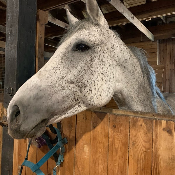 школа кск заповедный санкт петербург