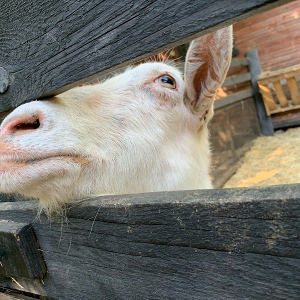 школа кск заповедный санкт петербург