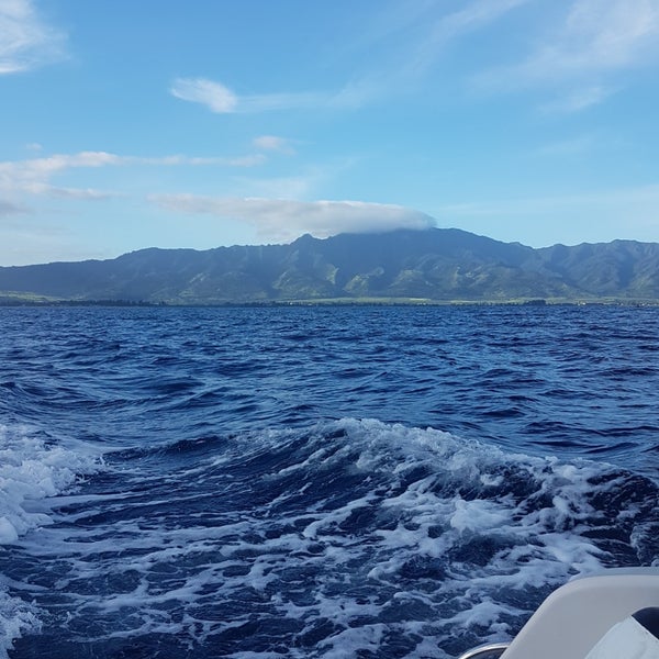 9/22/2018에 Sergey T.님이 Hawaii Shark Encounters에서 찍은 사진