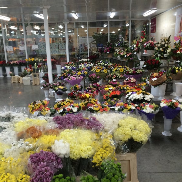 Профсоюзная 98. Цветочный магазин ярославль. Цветы 24 часа. Сурикова 24 екатеринбург аксеум. Сурикова 24 екатеринбург на карте.