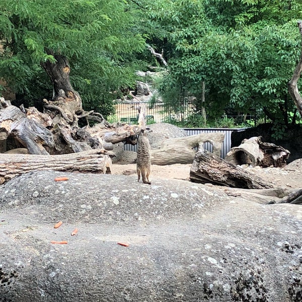 Photo taken at Zoo Basel by Timothée H. on 7/25/2018