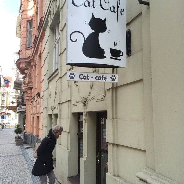 4/26/2016にClaudio M.がCat Cafeで撮った写真