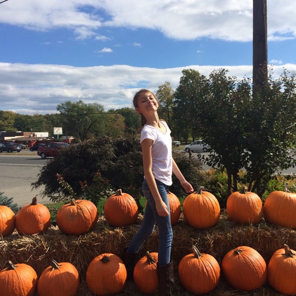 Meadows Farms Nurseries & Landscaping Garden Center in Warrenton