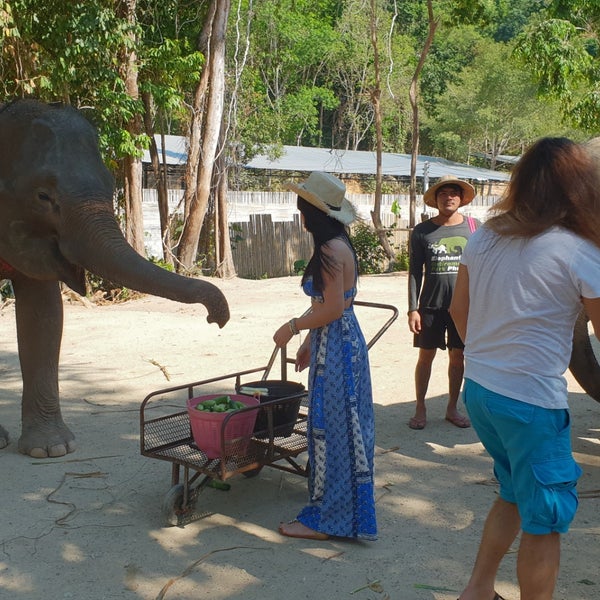 Green elephant sanctuary