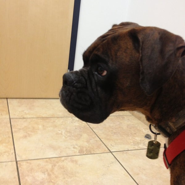 Telge animal hospital sales