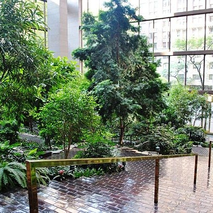 Want to visit a tropical rainforest right here in New York? Check out these 4 amazing and unusual things to do in NYC on our blog!