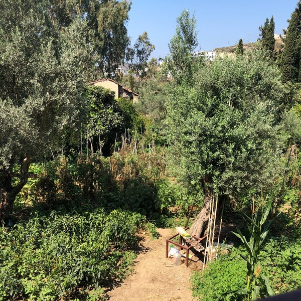 รูปภาพถ่ายที่ Havva Ana&#39;nın Kahvaltı Bahçesi โดย Gökhan Ü. เมื่อ 8/25/2018