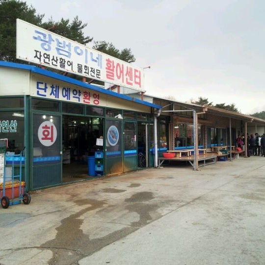 광범이네 활어센터 - Kosong, 강원도 광범이네 활어센터
