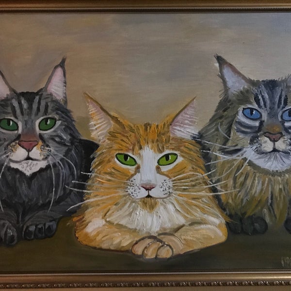 Три кота новгород великий