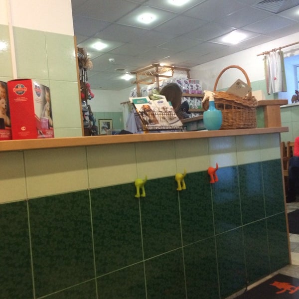 Ветдоктор корочанская. Ветдоктор корочанская. Ветеринарка на корочанской белгород. Ул корочанская. Ветдоктор корочанская.