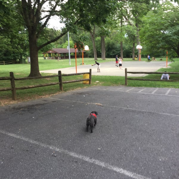 Purcell Park Harrisonburg, VA