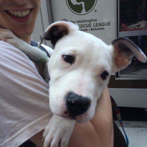 Photos at 5th Street Ace Hardware Hardware Store in Washington