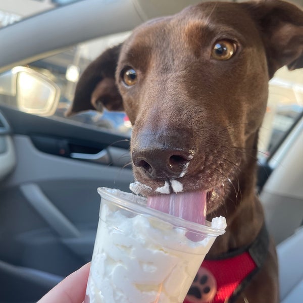 Starbucks - 4160 Main St