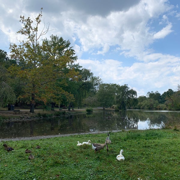 Duck Pond University Blacksburg, VA