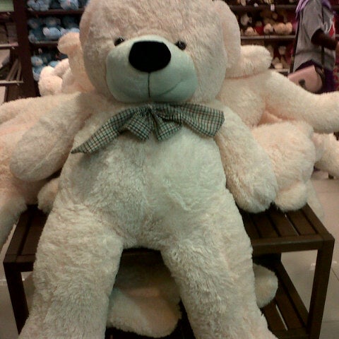 kaison teddy bear price