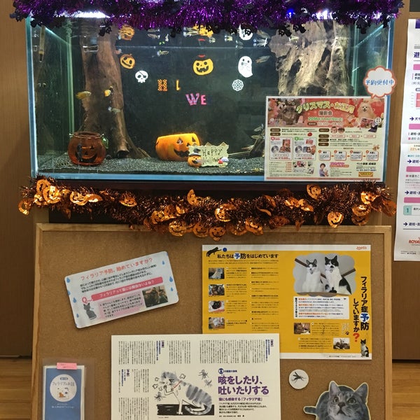 ペット家族 成城店 Pet Store In 世田谷区