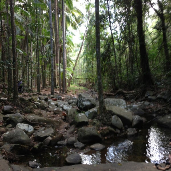 Photos At Buderim Forest Park