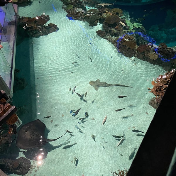 Foto diambil di National Aquarium oleh isaac g. pada 11/13/2022