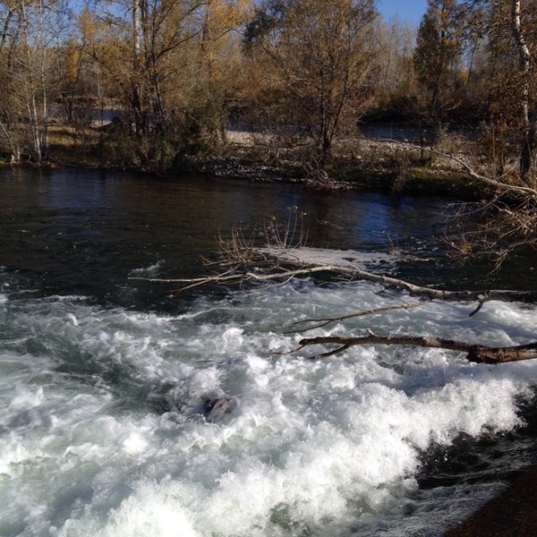 Усть каменогорск курчум