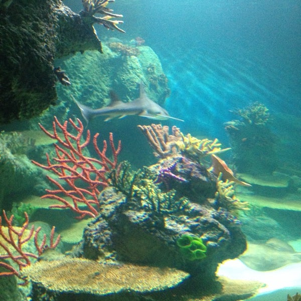 ETİ Sualtı Dünyası Bilim Kültür ve Sanat Parkı