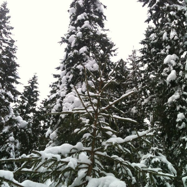 новожилово березники