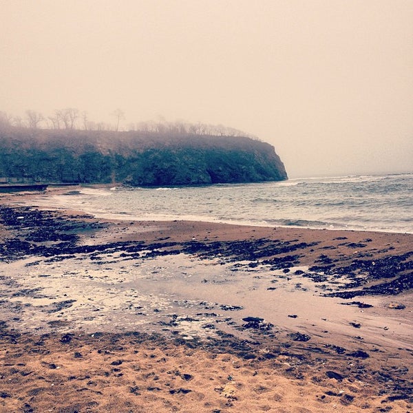 Луговая шамора. Пляжа шамора(бухта лазурная). Бухта шамора владивосток. Луговая шамора. Луговая шамора.