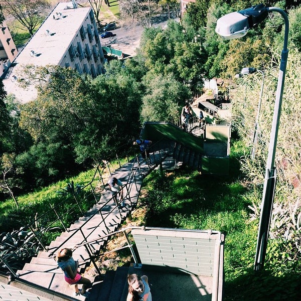 Jacob's Ladder West Perth 12 tips