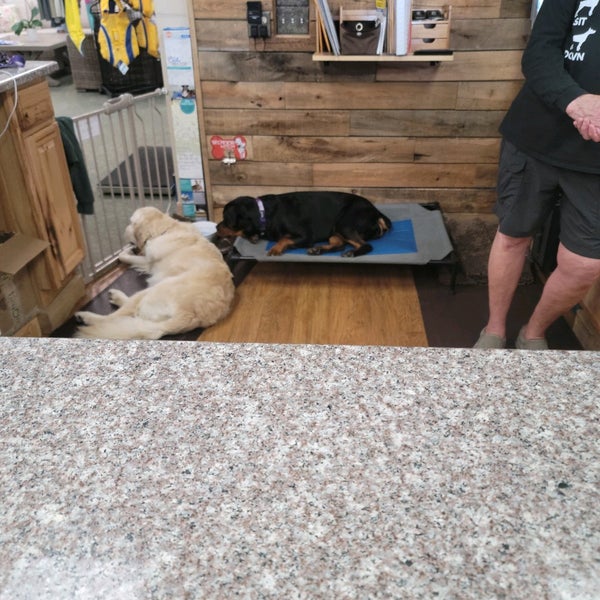 The Natural Pet Enrichment Center Pet Supplies Store in North