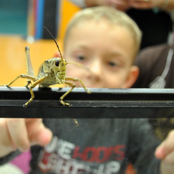 Today from 10am - noon, the Anderson Insect Zoo is in the Studio. Meet some new bugs!