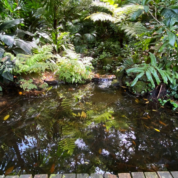 Foto diambil di Tropical Spice Garden oleh Mavis O. pada 12/29/2022