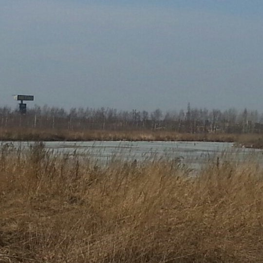Остров передовик
