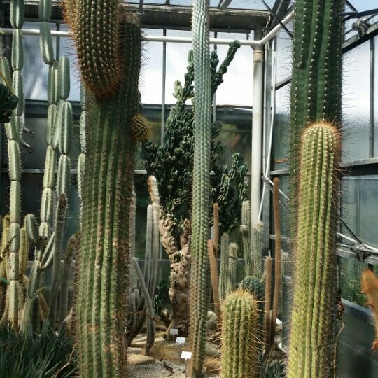 Photos At Neuer Botanischer Garten Marburg Hessen
