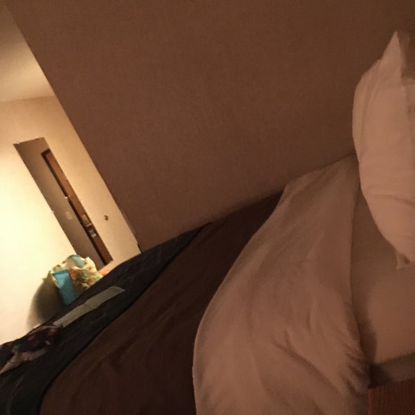 Comfort Inn Suites Of Custer South Dakota Hotel