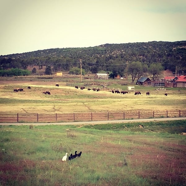 Foto diambil di Zion Mountain Ranch oleh Amy Qinchi S. pada 5/18/2014