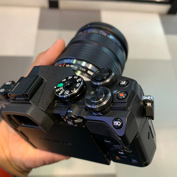 Cam gallery. Cam gallery
