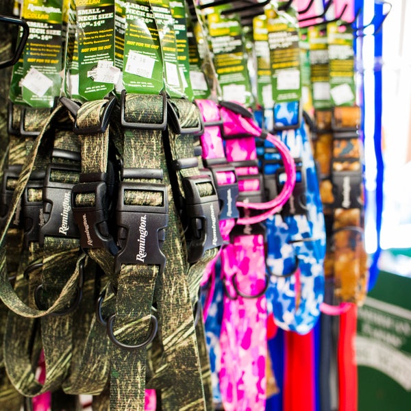 phillips pet supply outlet