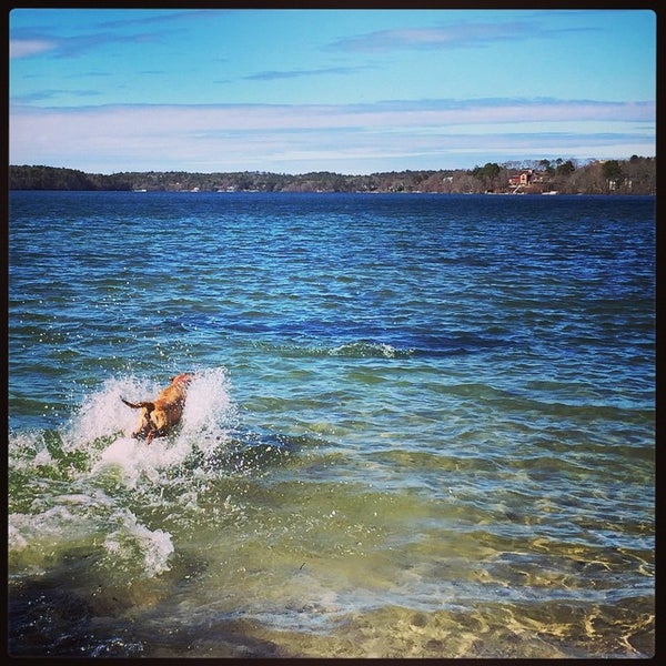 Great Herring Pond 90 visitors