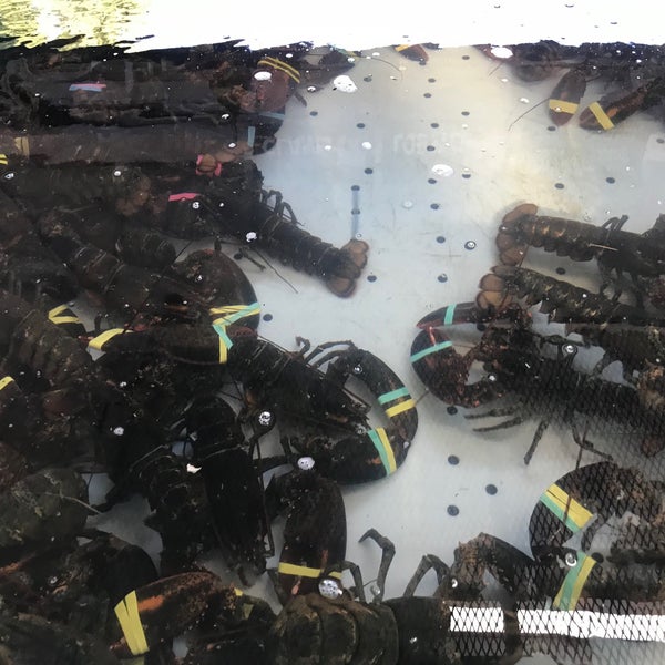 รูปภาพถ่ายที่ Ogunquit Lobster Pound Restaurant โดย Di L. เมื่อ 9/6/2020