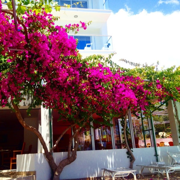 Delfinia Corfu Hotel 4
