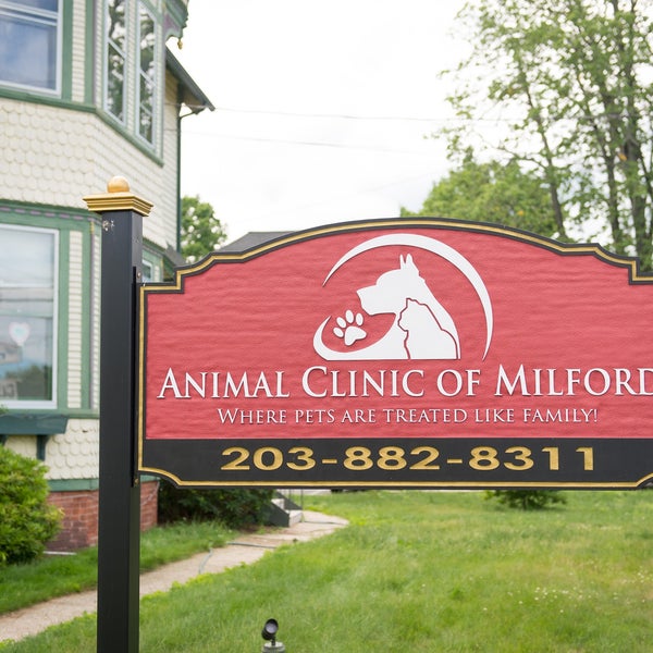 Photos at Animal Clinic of Milford - Pet Service in Downtown Milford -  Harbor - Post Road South