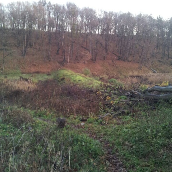 на дне лощины. природный парк горбеа. ноттингем шервудский лес. серая осень. ведьмин лес канада.