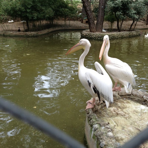 Antalya Hayvanat Bahçesi Zoo in Kepez