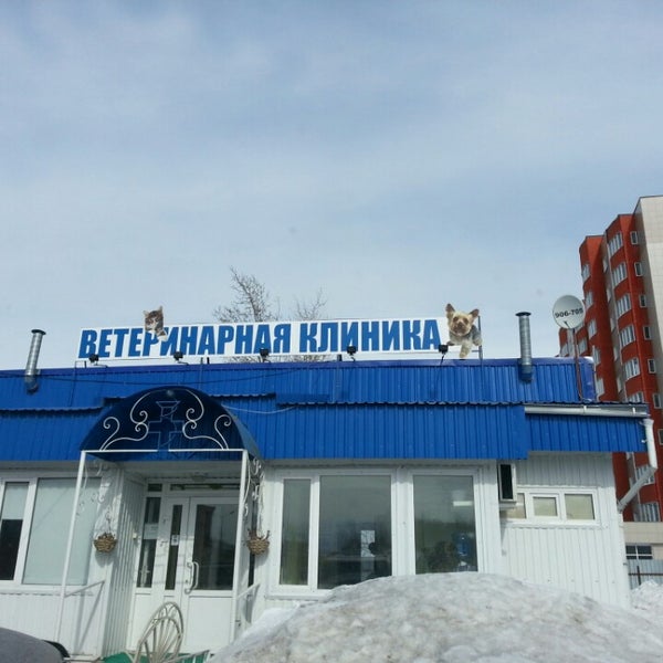 Ветеринарные клиники улан удэ адреса и телефоны. Ветеринарные клиники улан удэ адреса и телефоны